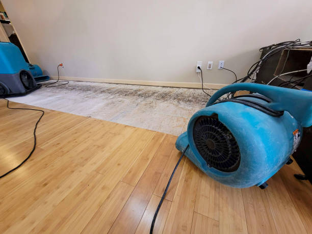 Professional Water Extraction technician working in McLoud, OK